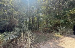 3 County Road 320, Bono, AR 72416