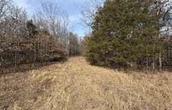 County Rd 328, Koshkonong, MO 65692