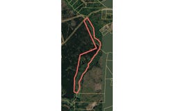 1530 Catfish Lane, Manning, SC 29102