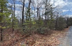 FETTERBUSH LN lot: 45, HINTON, VA 22831