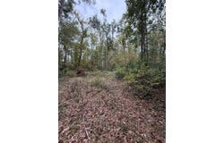 746th St, Old Town, FL 32680