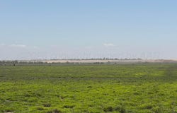 County Road 3, Mobeetie, TX 79061