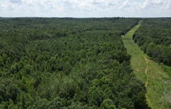 McAbee Road, Beech Bluff, TN 38313
