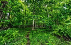 8088 County Road 30, Galion, OH 44833