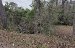 Mitten Road, Moncks Corner, SC 29461