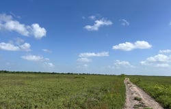 BOSQUE AVE, LOS FRESNOS, TX 78566