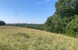 Osceola Road, Bruner, MO 65620