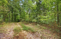 Timber Ridge Lane- Phase Ii lot: 23, Celina, TN 38551