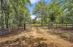 Mosley Road, Stapleton, AL 36578