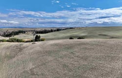 Central Ridge Rd, Craigmont, ID 83523