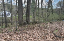 8091 Poplar Drive, Reading, MI 49274