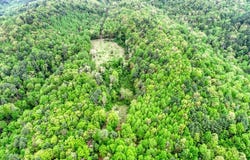 Off Neely, Highlands, NC 28741