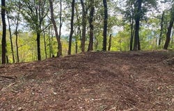 143 Raptor Way, Landrum, SC 29356