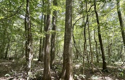 5 County Road 24, Enterprise, MS 39330