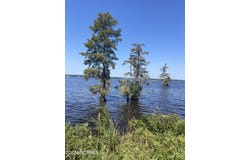 3047 Bass Landing Road, Edenton, NC 27932