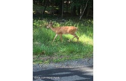 Cranberry Drive, Bushkill, PA 18324