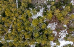 M3L11C Location Road, Belgrade, ME 04917