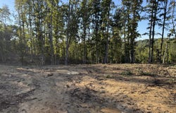 1282 Vine Ridge Rd, Wilder, TN 38589