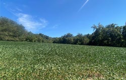 Highway C, New Haven, MO 63068