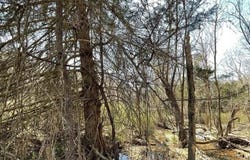 27800 E Valley Lane, Proctor, OK 74457