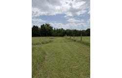122 Rosson Lane, Ink, AR 71953