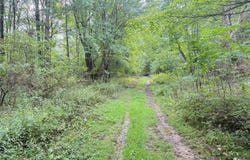 Dump Rd, Sugar Grove, PA 16350