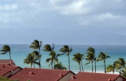 3445 Lower Honoapiilani Rd, Lahaina, HI 96761
