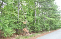 131 Tumbleweed Dr, Gaffney, SC 29340