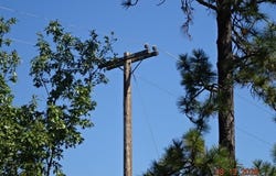 Lookout Mountain, Oak Run, CA 96069