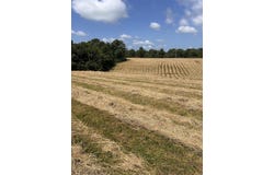 186 CR 346, Piggott, AR 72454