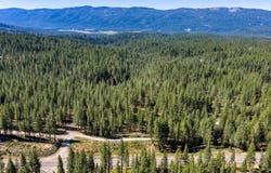 251 Meadow Lark Lane, Blairsden, CA 96103