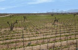 FT Tejon Vic 82nd st E, Palmdale, CA 91352