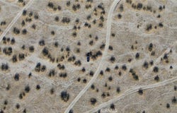 Vac/Vic, Black Butte, CA 93591