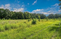 FM 850, Arp, TX 75750