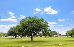 4364 Comanche Trace Dr, Kerrville, TX 78028