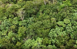 Km 0.2 Int Bo. Helechal PR 152, BARRANQUITAS, 00794