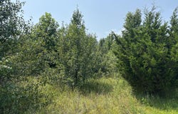S R 8 Drive, Dunlap, TN 37327