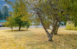 10 Tamarack, Florence, OR 97439