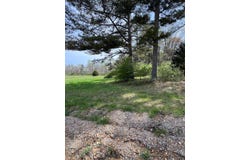 0 PARCEL#2 BECK Dr, Double Springs, AL 35553