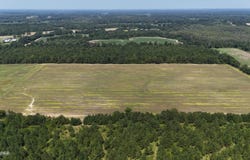 Peanut Road, Cottondale, FL 32431