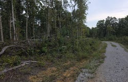 Mill Creek Rd lot: #10, Sunbright, TN 37872