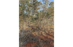 156 Helemano Dr, Bastrop, TX 78602