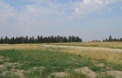 Orchard Rd, Chattaroy, WA 99003