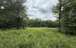 Bridle Way, Equinunk, PA 18417