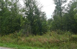 Lewis Road, Pierpont, OH 44082