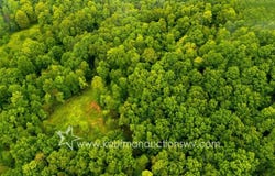 679 Burnems Run Rd, Sandyville, WV 25275