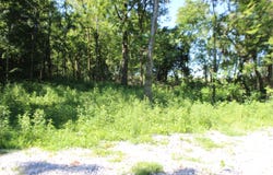 Martins Drive, Princeton, KY 42445