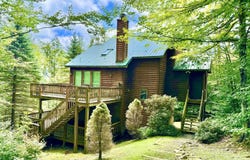 22 Snow Run Road, Davis, WV 26260