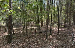 800 S STONEY POINT Rd, Double Springs, AL 35553