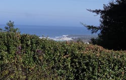 29224 SKUNK RUN Rd, GoldBeach, OR 97444